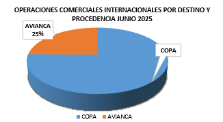 Captura-de-pantalla-2025-07-11-095105